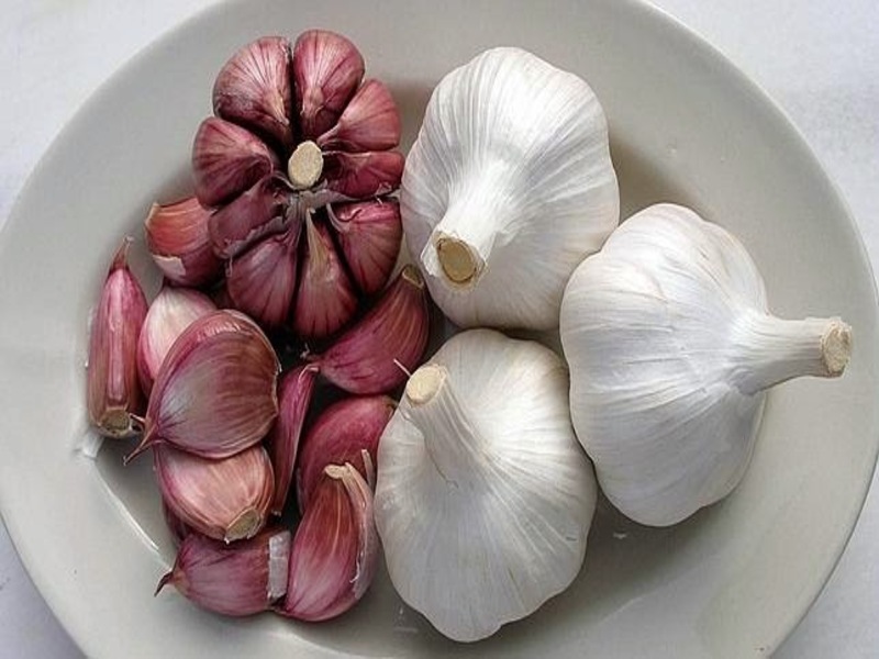 Produksi Bawang Iris Cepat Untuk Usaha Lebih Efisien