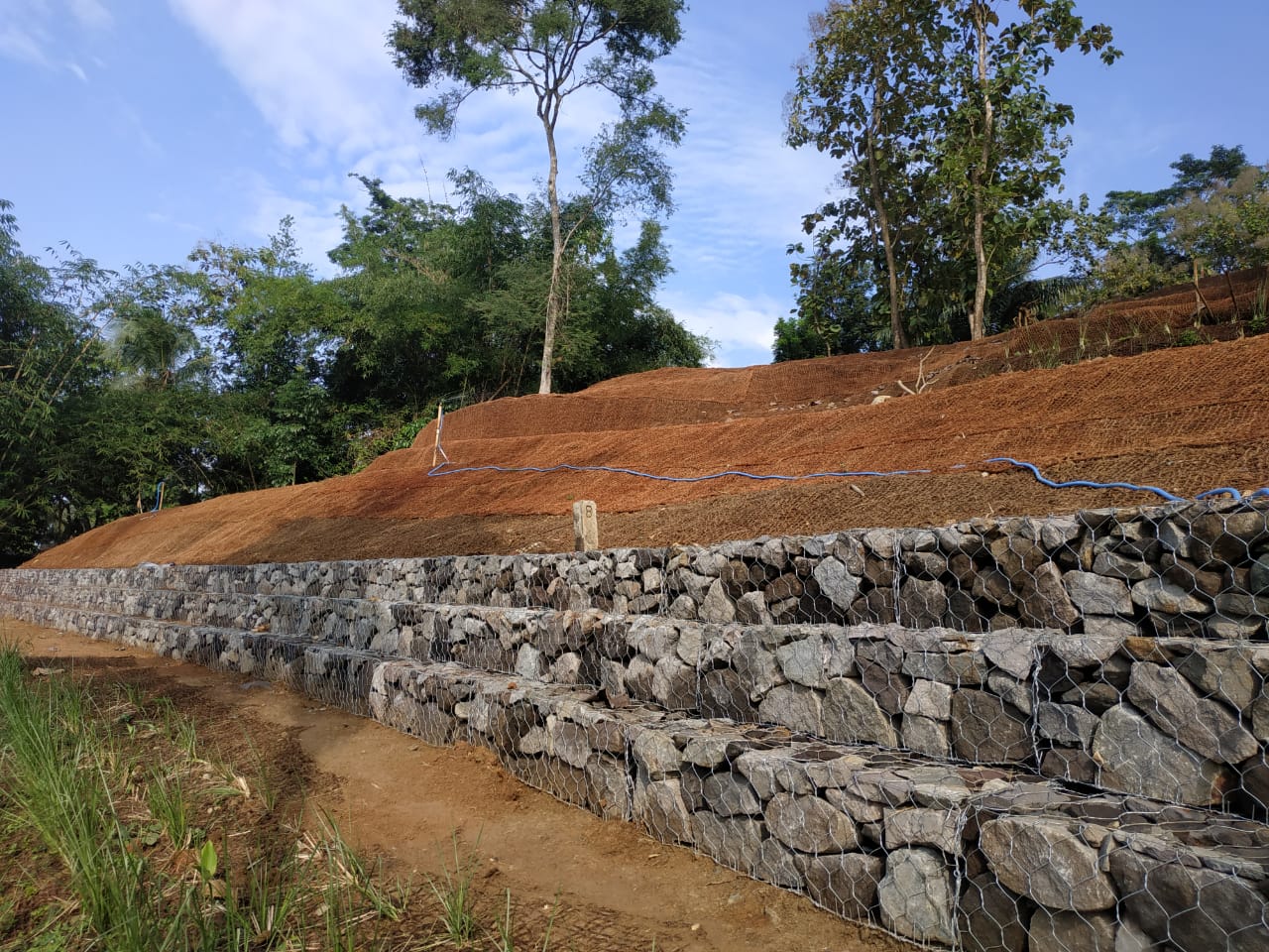 Anyaman Cocomesh untuk Penghijauan Perkebunan