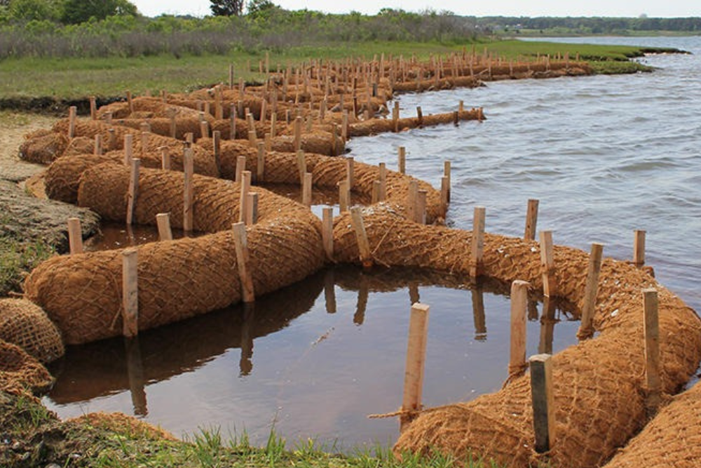 Serat kelapa untuk rehabilitasi lahan kritis