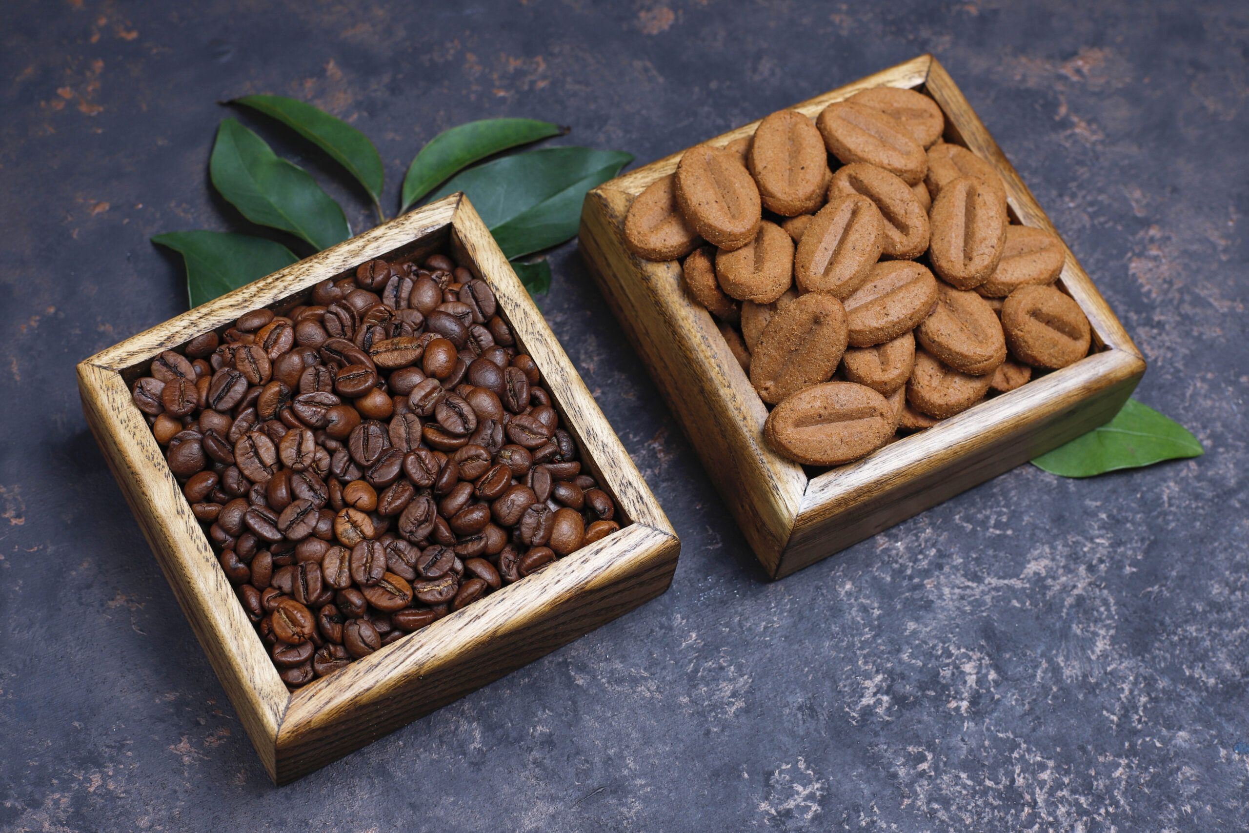 Perbedaan Dasar Arabika dan Robusta