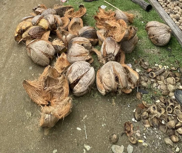 Sabut kelapa sebagai bahan biokomposit