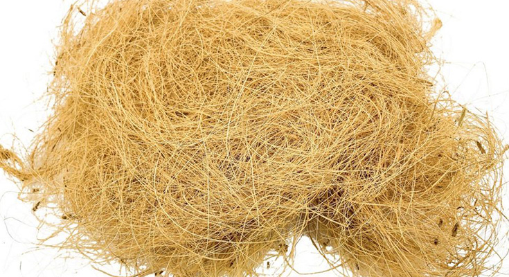 Sabut Kelapa Bahan Studi Praktikum