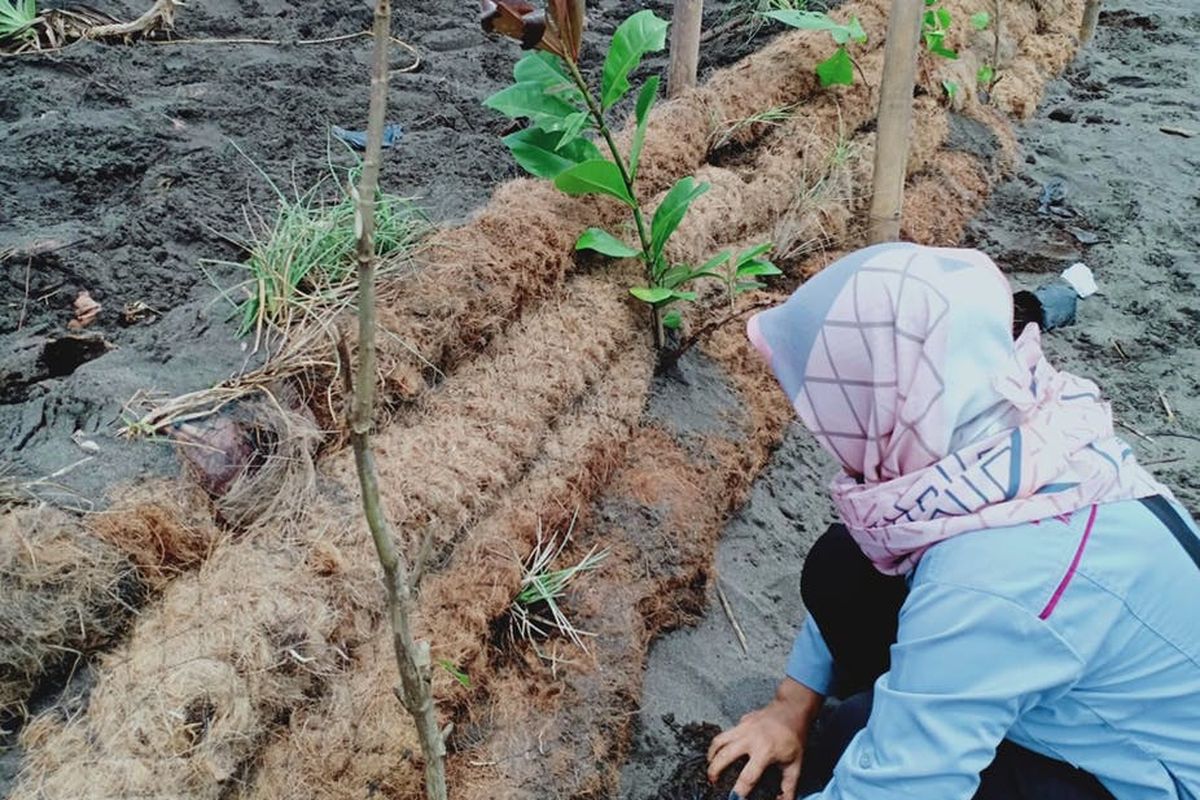 Relevansi Cocomesh dengan Gerakan Pramuka