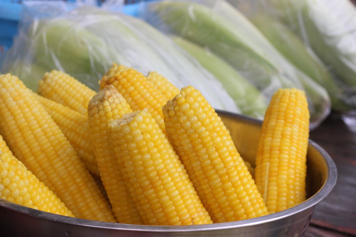 Mesin Pemisah Bonggol Jagung