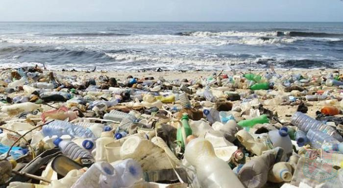 bahaya mikroplastik yang ada dalam makanan laut