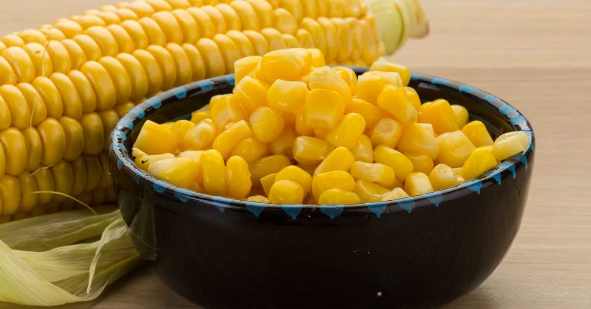 Mesin Giling Jagung Pakan Ternak Cocok untuk Usaha Rumahan