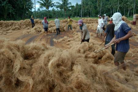 Sabut Kelapa untuk Proyek Desa Pintar