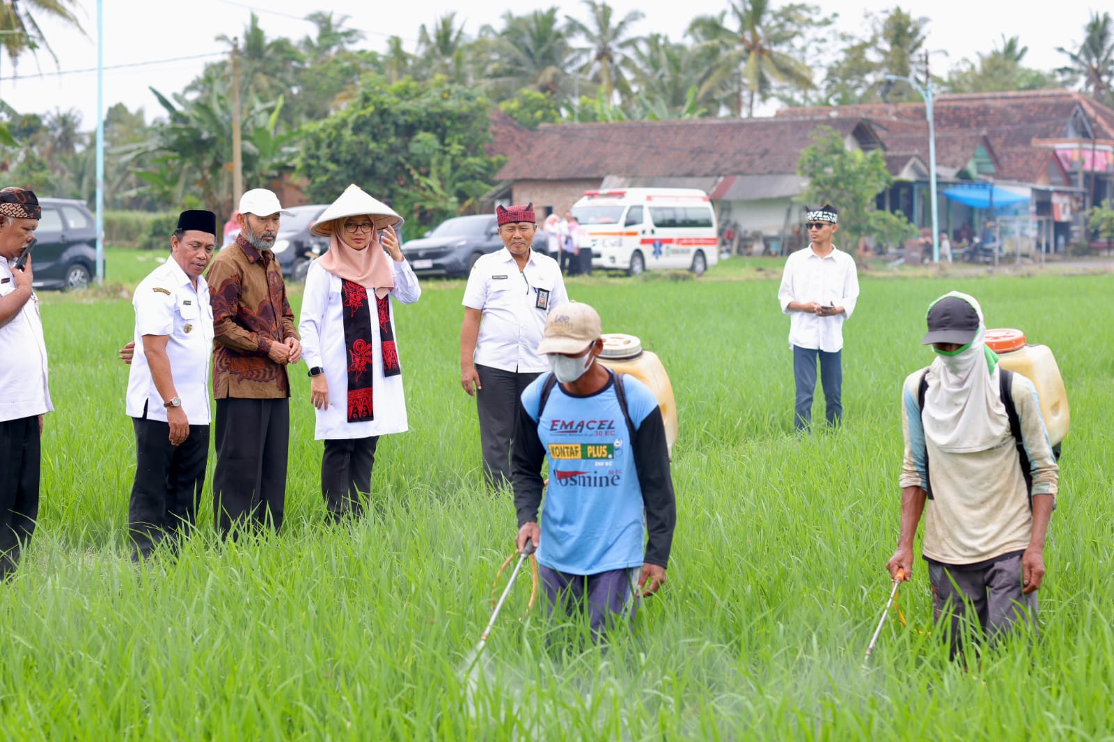 Dukungan Pertanian Lokal MBG Dorong Ketahanan Pangan