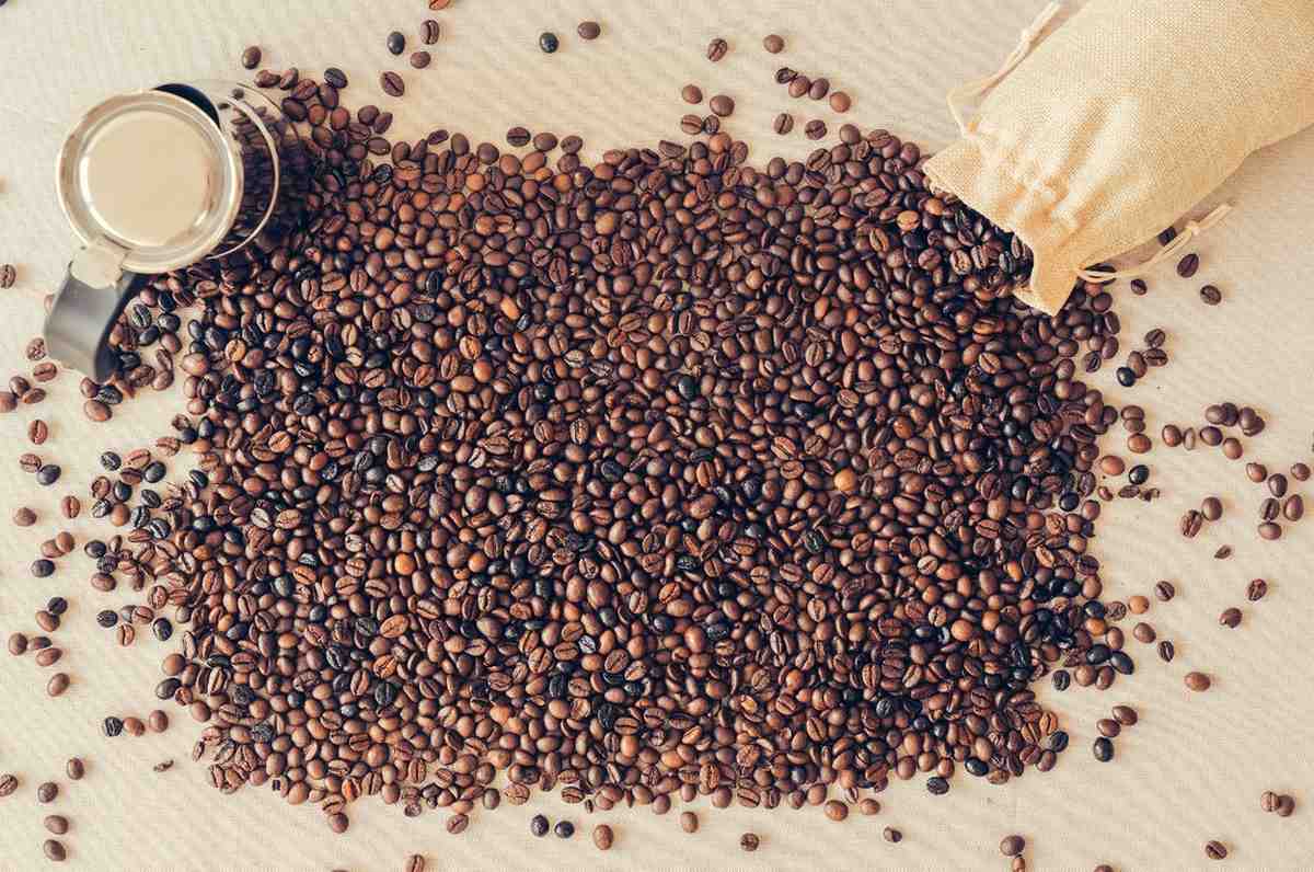 Cara Kerja Pengupas Biji Kopi Kering Supaya Lebih Efisien