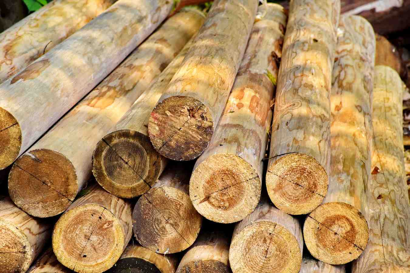 Manfaat Mesin Bubut Kayu untuk Produksi Kerajinan yang Presisi dan Bernilai Jual