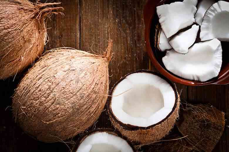 Usaha Kelapa Tua untuk Pemula