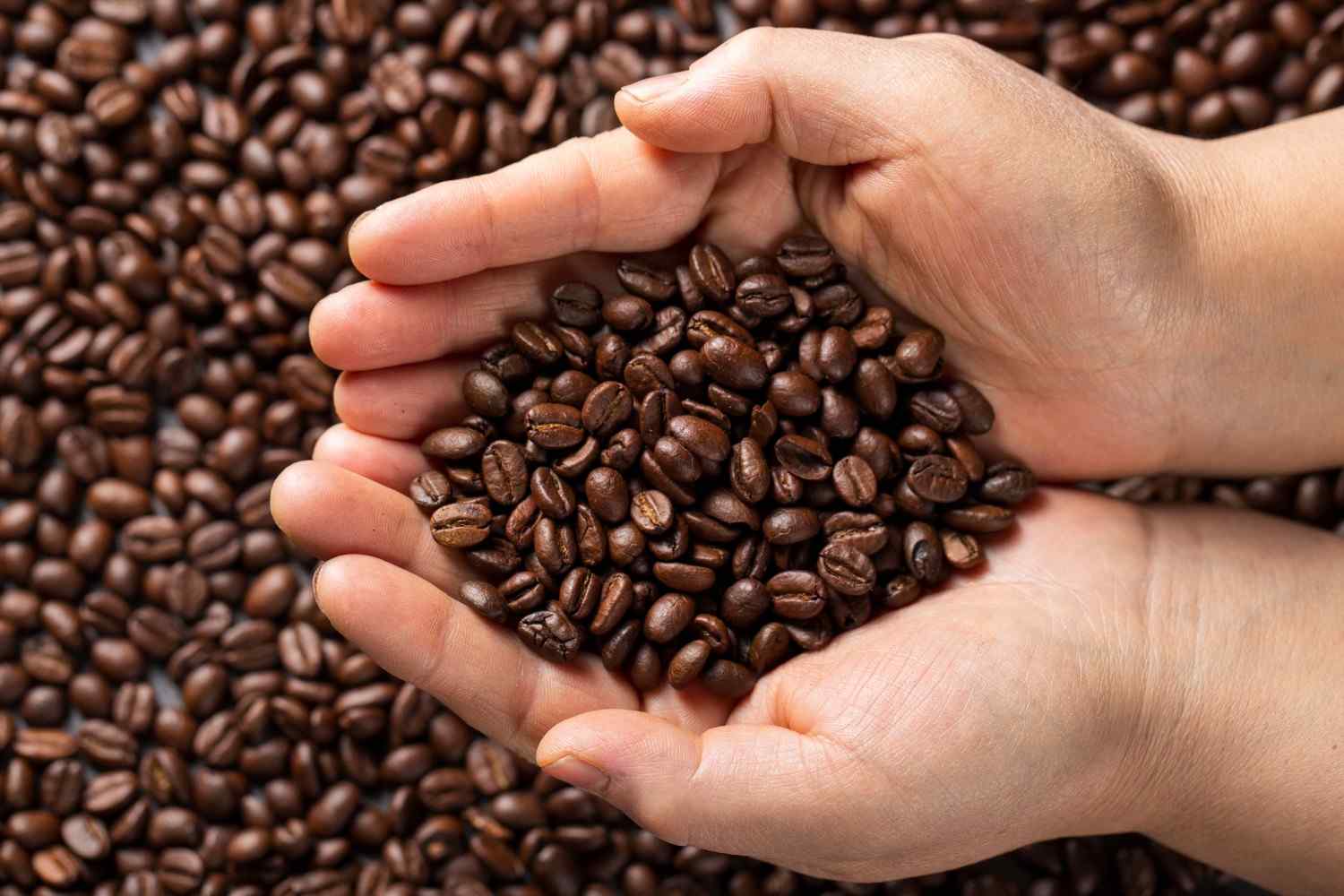 Kegunaan Mesin Sangrai Kopi untuk Meningkatkan Kualitas Biji Kopi