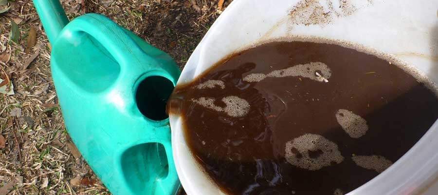 Penggunaan Pupuk Cair untuk Tanaman agar Pertumbuhan Lebih Optimal
