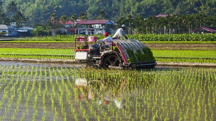 Rahasia Merawat Rice Transplanter agar Tetap Prima dan Tahan Lama