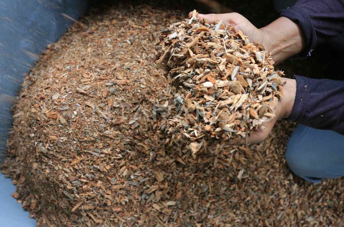 Pemanfaatan Hasil Cacahan Kayu
