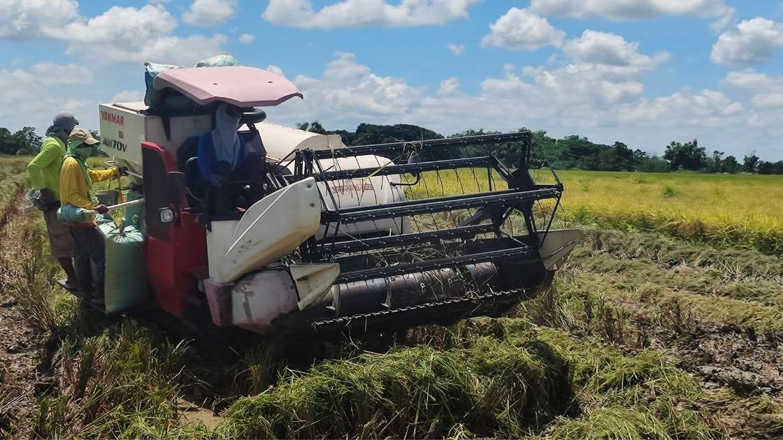 faktor yang menentukan kecepatan panen dengan mesin