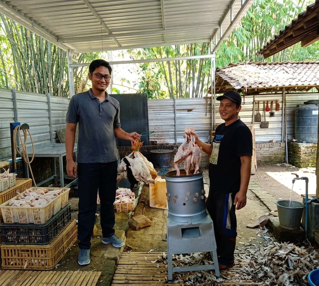 alat pencabut bulu ayam