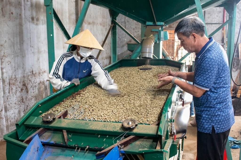 Proses Pemisahan Kotoran Biji: Tahapan Efektif untuk Hasil Bersih