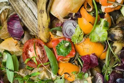 cara menggunakan mesin APPO untuk mengolah bahan organic