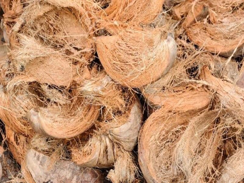 Manfaatkan Sabut Kelapa Jadi Bahan Kompos Ramah Lingkungan