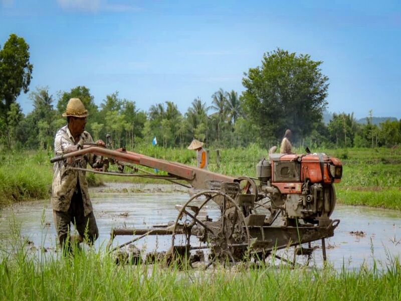 Alat Pengolah Tanah Petani Kecil Efisien dan Praktis