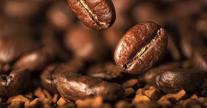 pengaruh tingkat sangrai terhadap rasa kopi