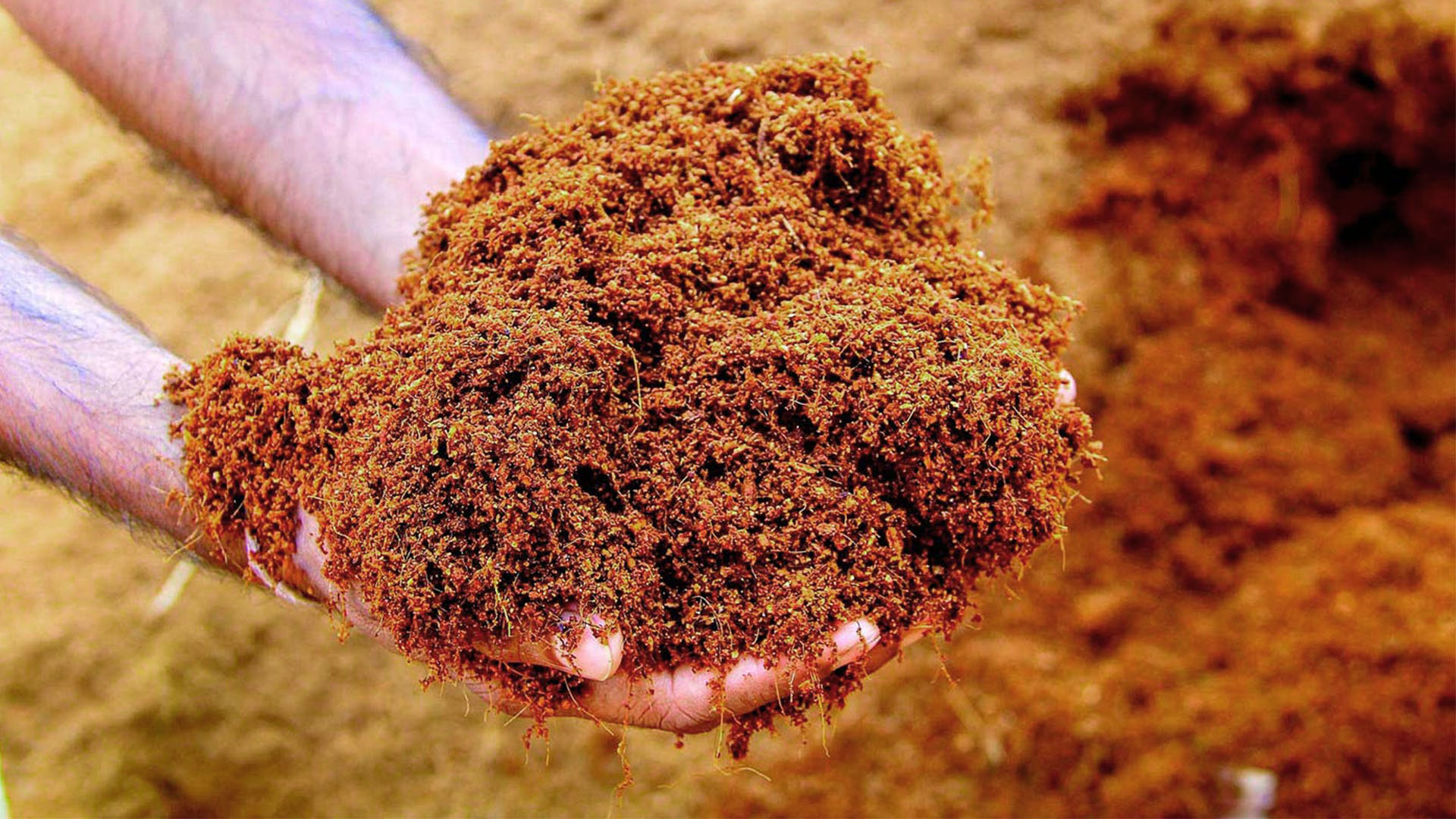 Cocopeat dari Sabut Kelapa