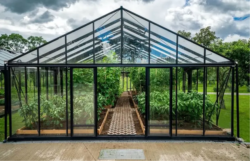 Cara Buat Rumah Tanaman Modern untuk Hasil Maksimal
