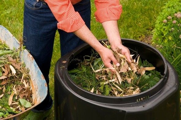 Tahapan Membuat Pupuk Kompos dari Sampah Organik
