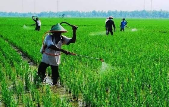 Fungsi Hand Sprayer Elektrik untuk Pertanian Luas