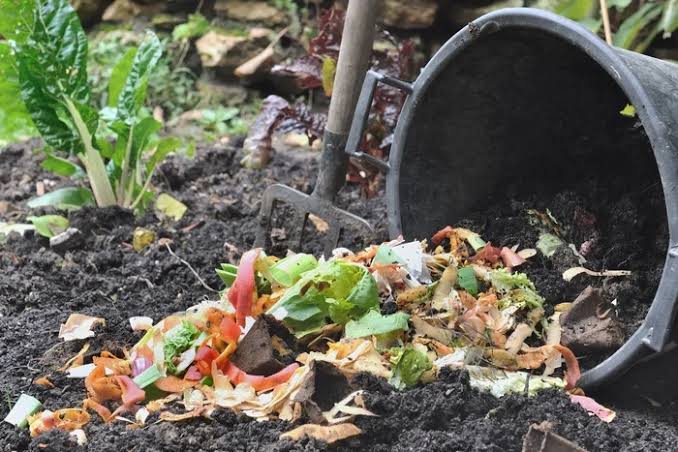 Cara Mengolah Daun Menjadi Kompos dengan Mudah