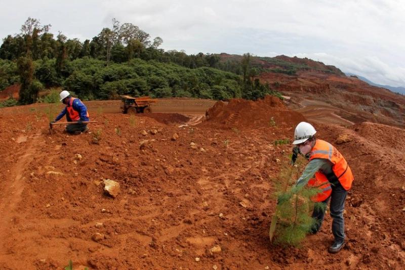 Fungsi Topsoil dalam Reklamasi Tambang