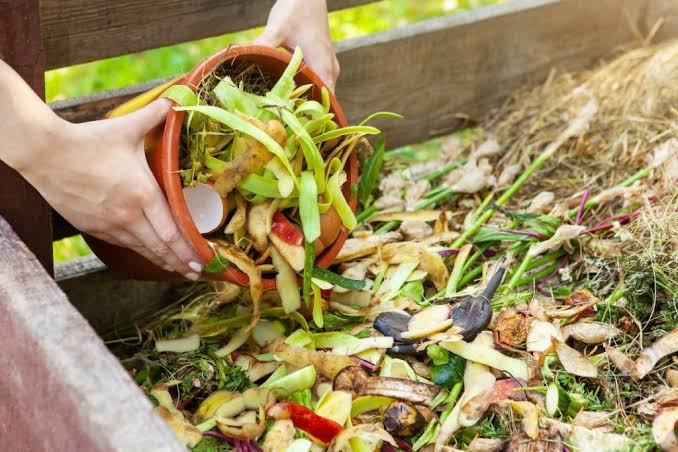 Sampah Organik Sebelum Dikomposkan Perlu Dipersiapkan