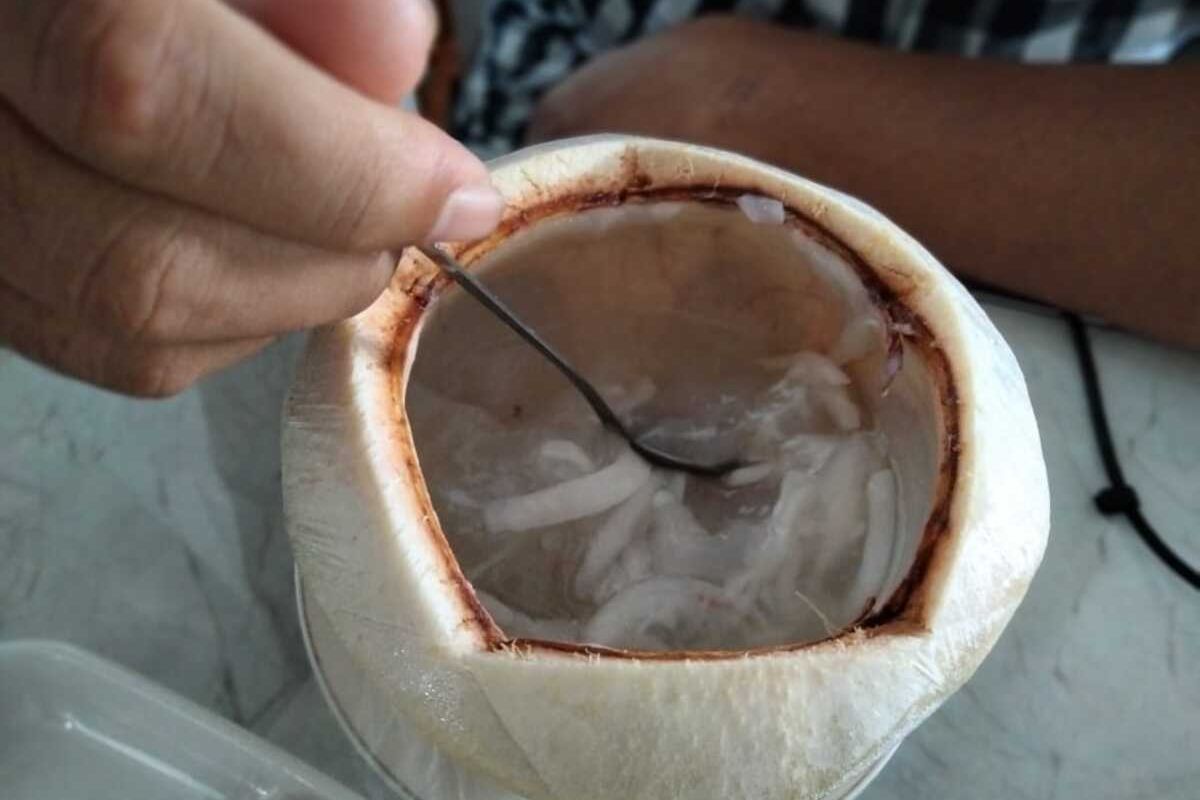 Cara Mencungkil Daging Kelapa Lebih Mudah