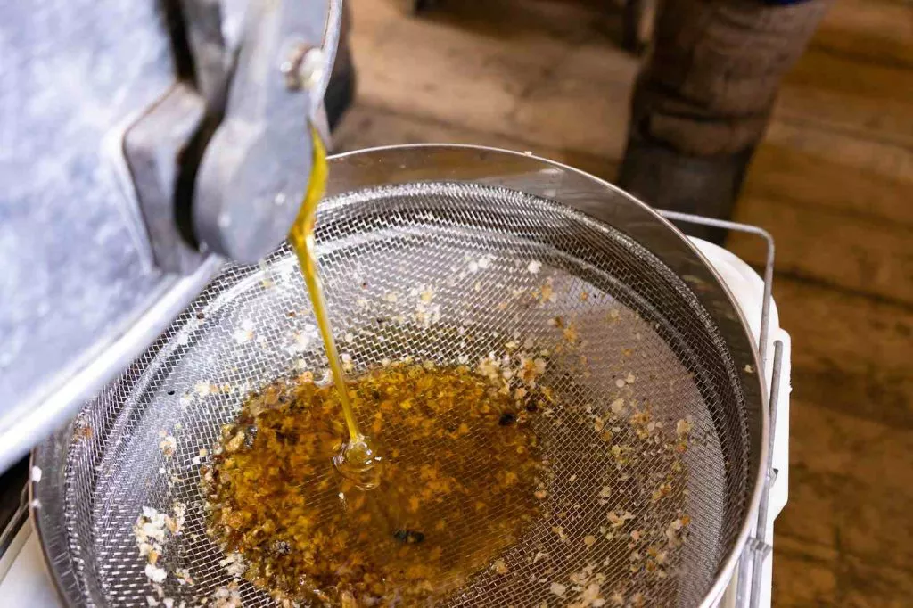 Cara Menyaring Minyak Goreng agar Lebih Bersih dan Jernih