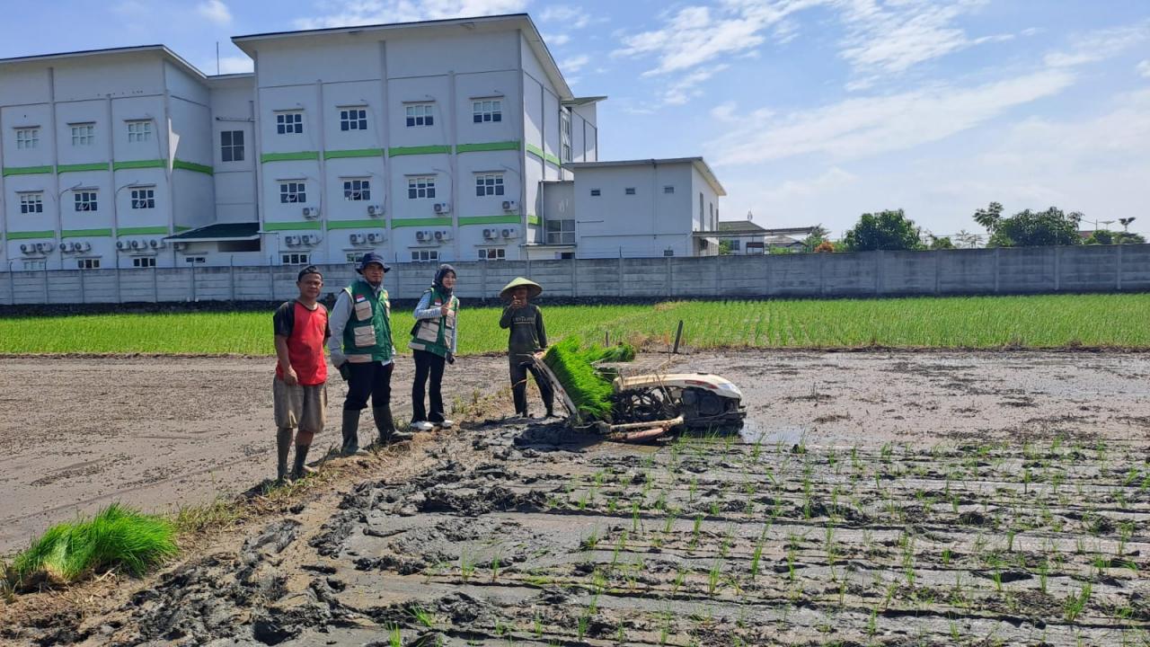 Keuntungan Usaha Jasa Tanam Padi bagi Peluang Pertanian Modern