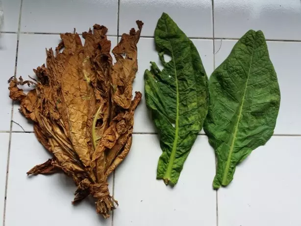 Mesin Perajang Daun Tembakau untuk Usaha Bikin Produksi