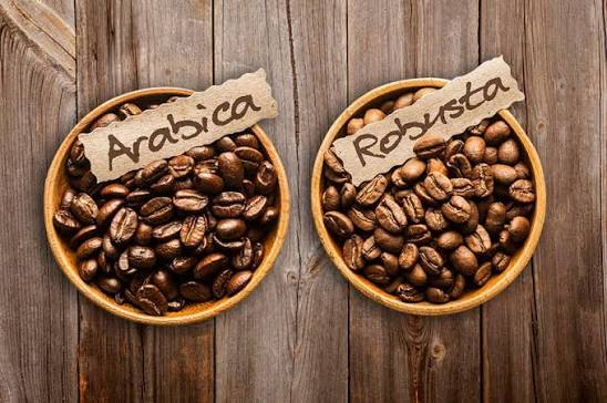 Perbedaan Kopi Arabika dan Robusta
