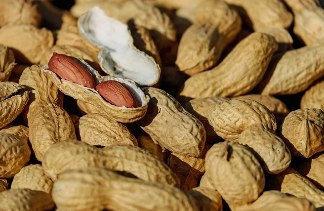 Usaha Pengolahan Kacang Tanah untuk Peluang Bisnis