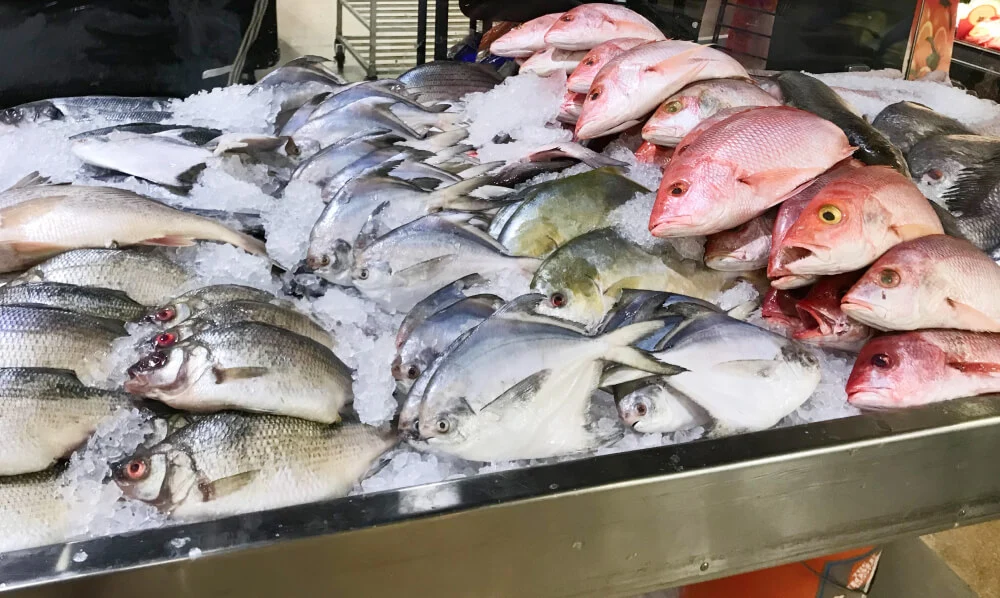 Ikan yang Cocok untuk Olahan, Pilihan untuk Berbagai Menu