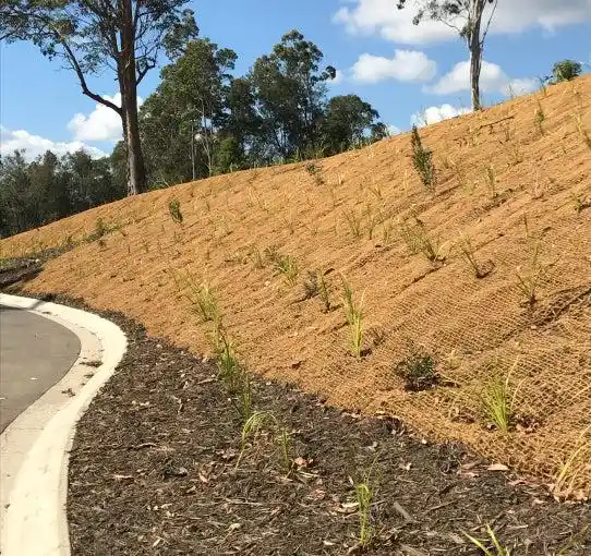 Cara Mengurangi Dampak Air Hujan pada Tanah Terbuka