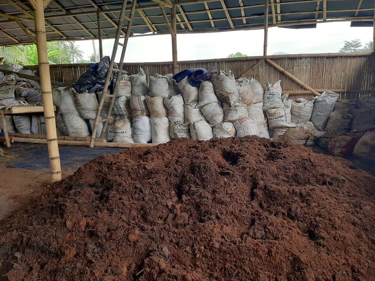 Usaha Pengolahan Sampah Organik yang Bisa Dikembangkan