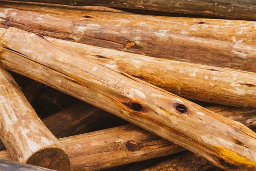 Faktor yang Memengaruhi Permukaan Kayu Dalam Pengolahannya
