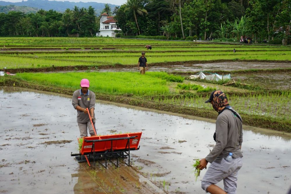 Penyebab Komponen Penanam Padi Aus saat Digunakan