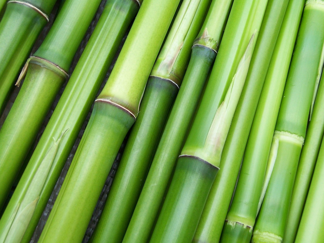 Cara Membuat Bilah Bambu untuk Anyaman agar Rapi