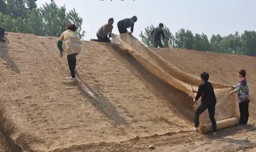 Teknik Pemasangan Jaring Cocomesh yang Tepat